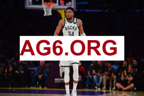 篮球比分手机捷报